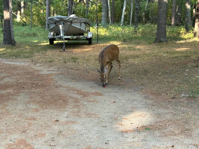 $264,900 | 23650 Glory Trail, Park Rapids, MN 56470