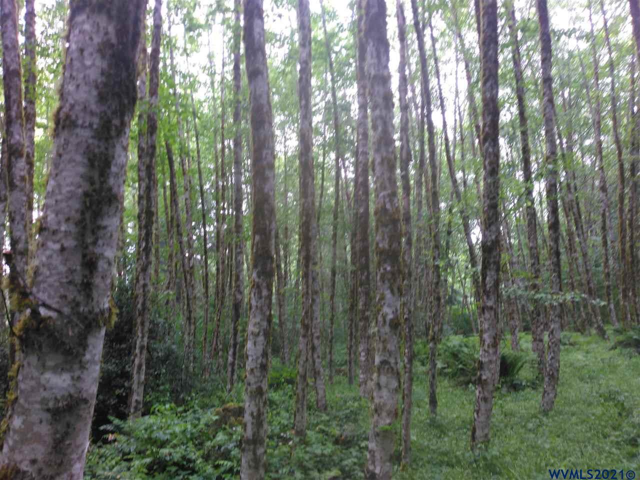 0 Dixie Mountain Road Scappoose, OR 97056 - Photo 8 of 9