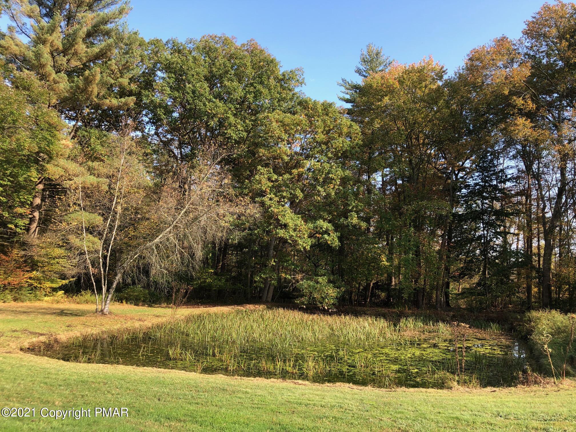173 Anchorage Road Saylorsburg, PA 18353 - Photo 12 of 56 a view of a yard