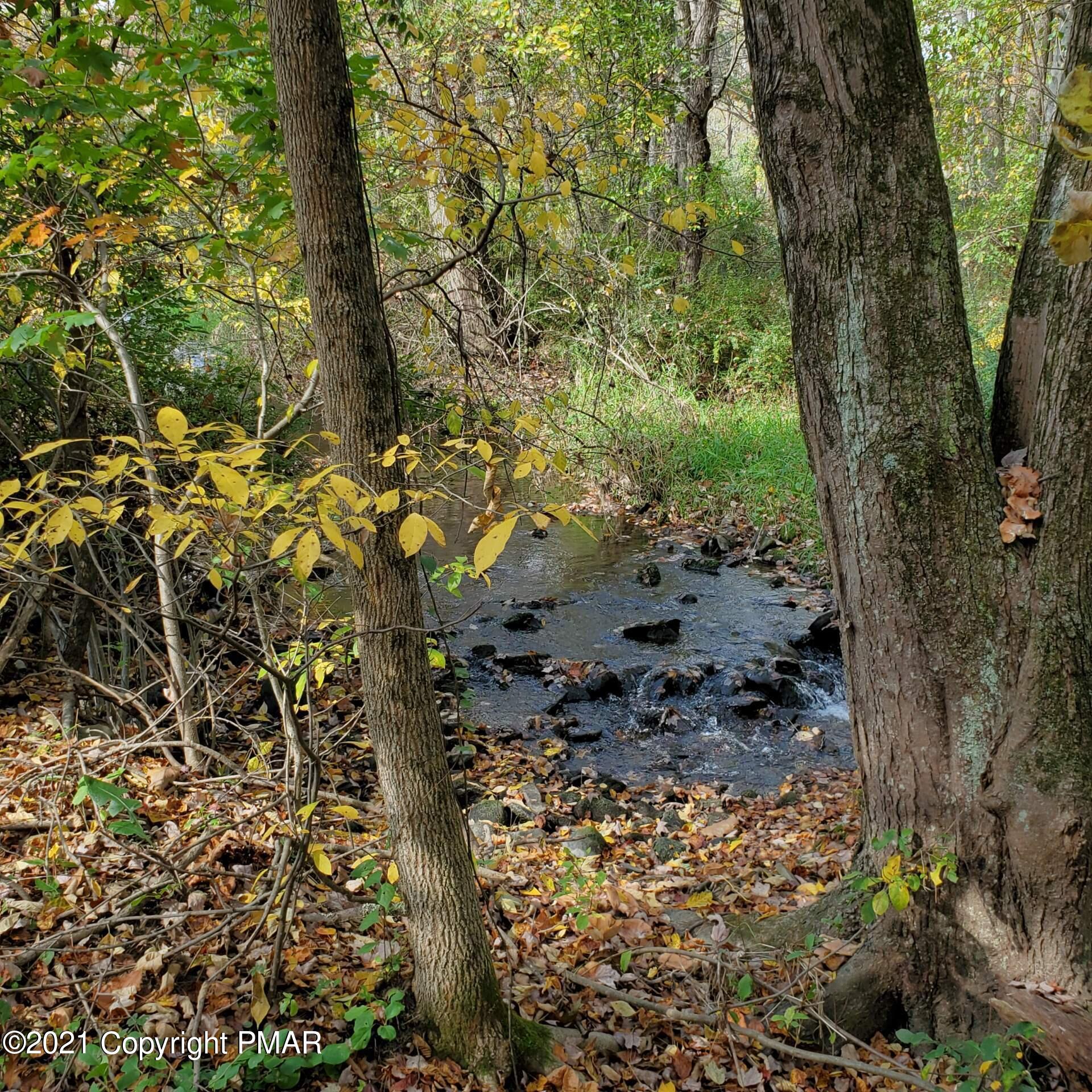 173 Anchorage Road Saylorsburg, PA 18353 - Photo 53 of 56 a picture of trees