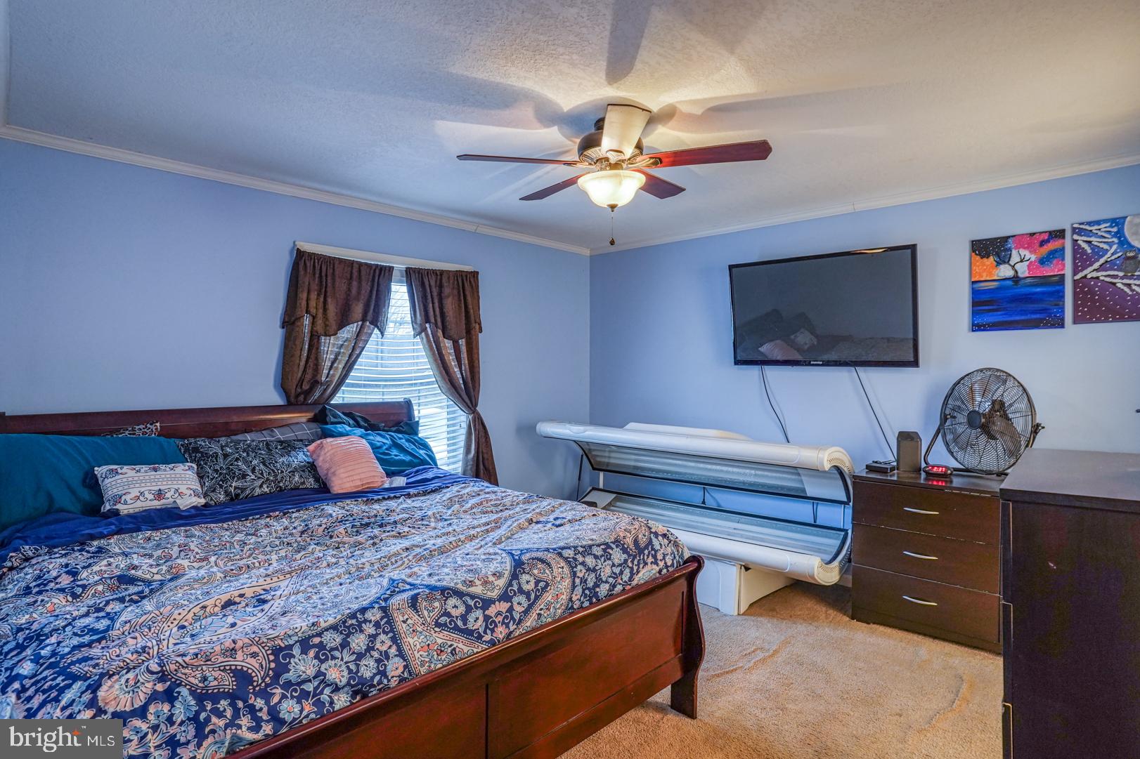 904 Old Camp Road Denton, MD 21629 - Photo 12 of 27