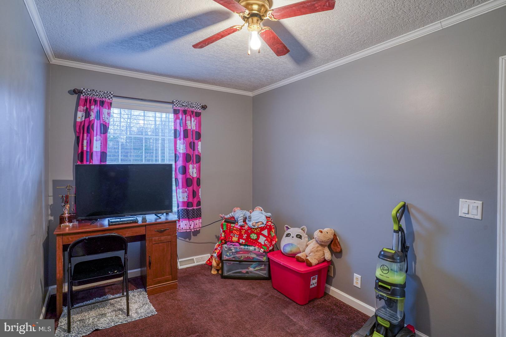 904 Old Camp Road Denton, MD 21629 - Photo 18 of 27