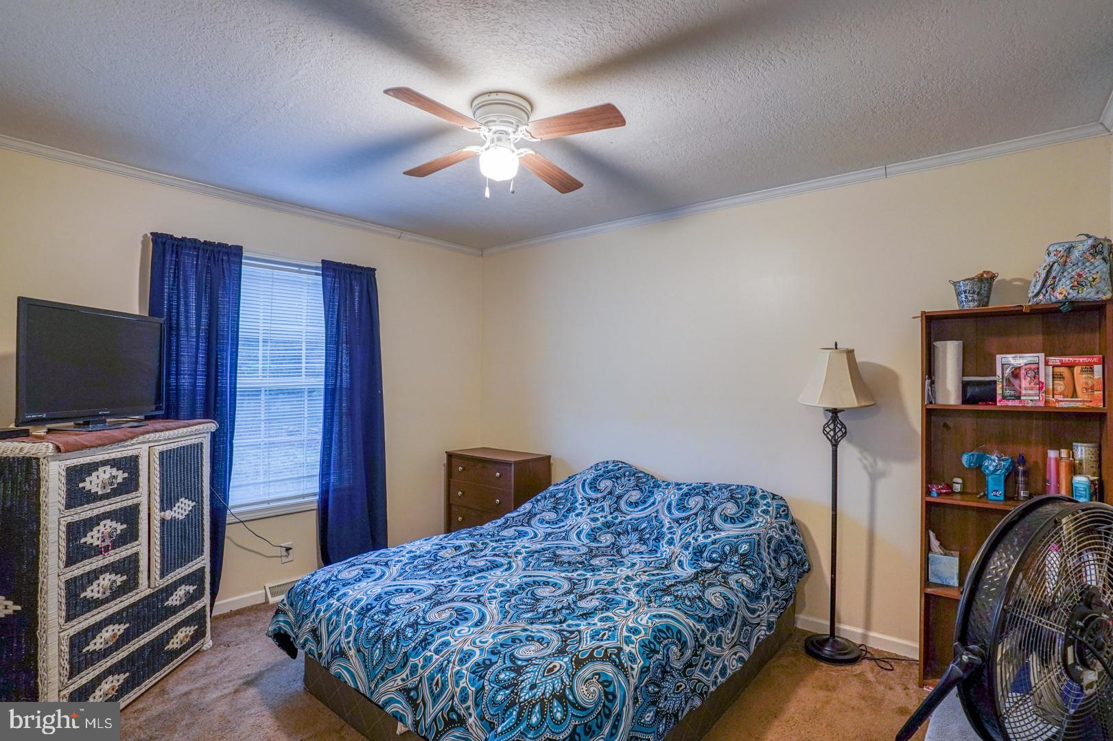 904 Old Camp Road Denton, MD 21629 - Photo 24 of 27