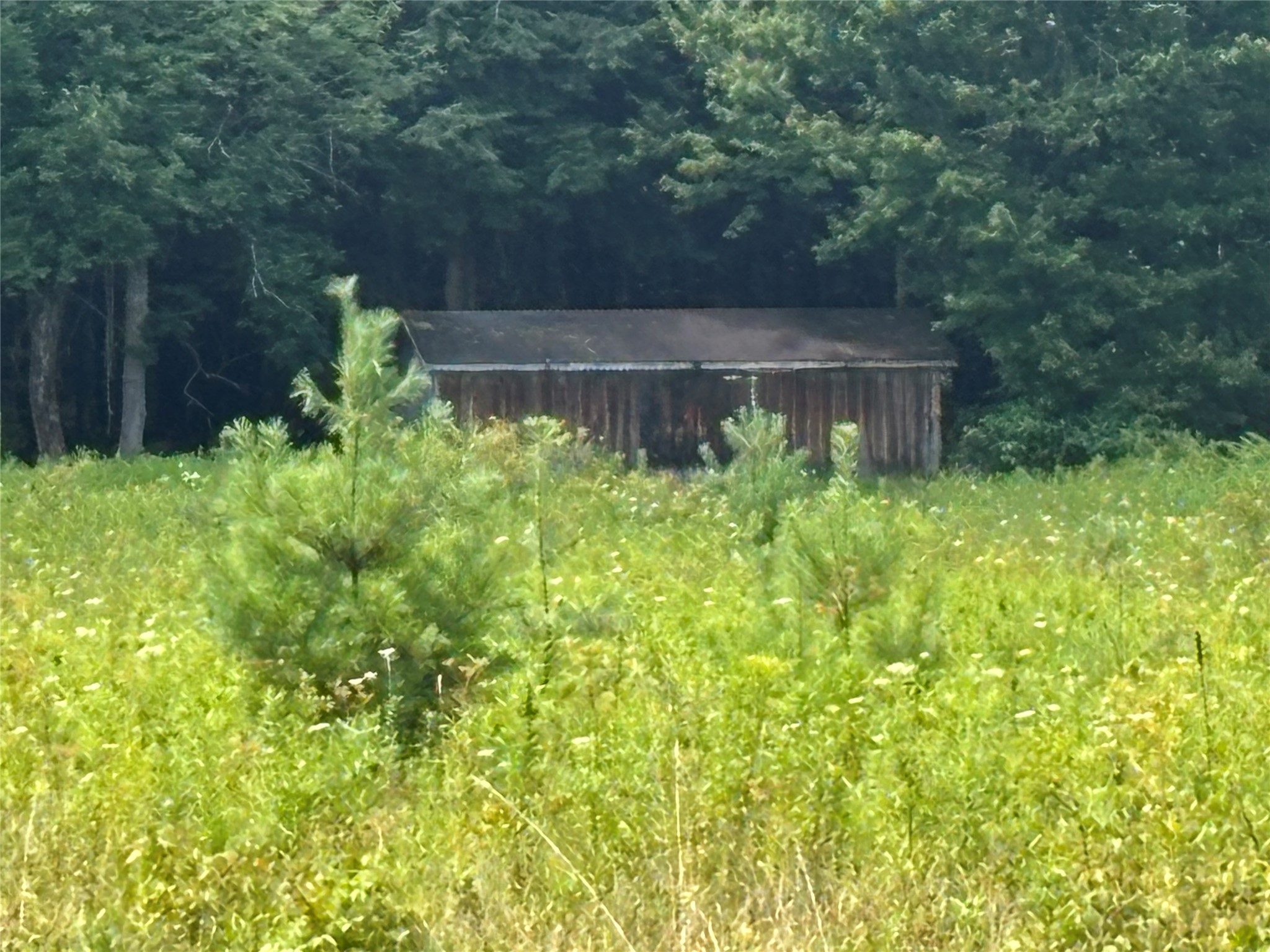 0 River Road Mount Upton, NY 13809 - Photo 1 of 40