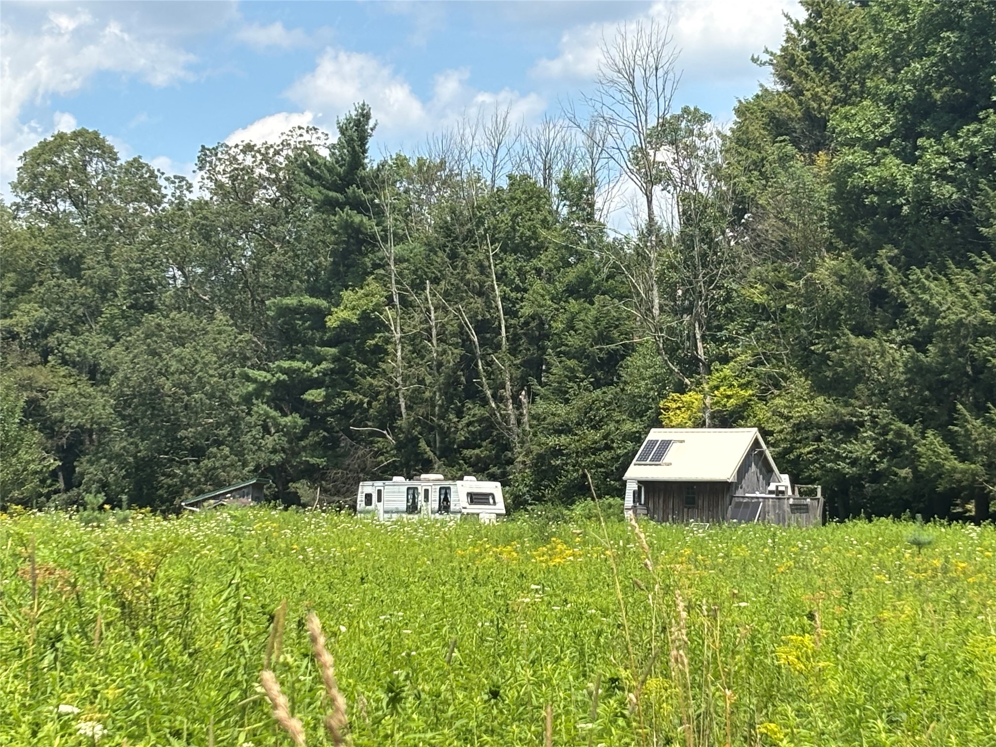 0 River Road Mount Upton, NY 13809 - Photo 14 of 40