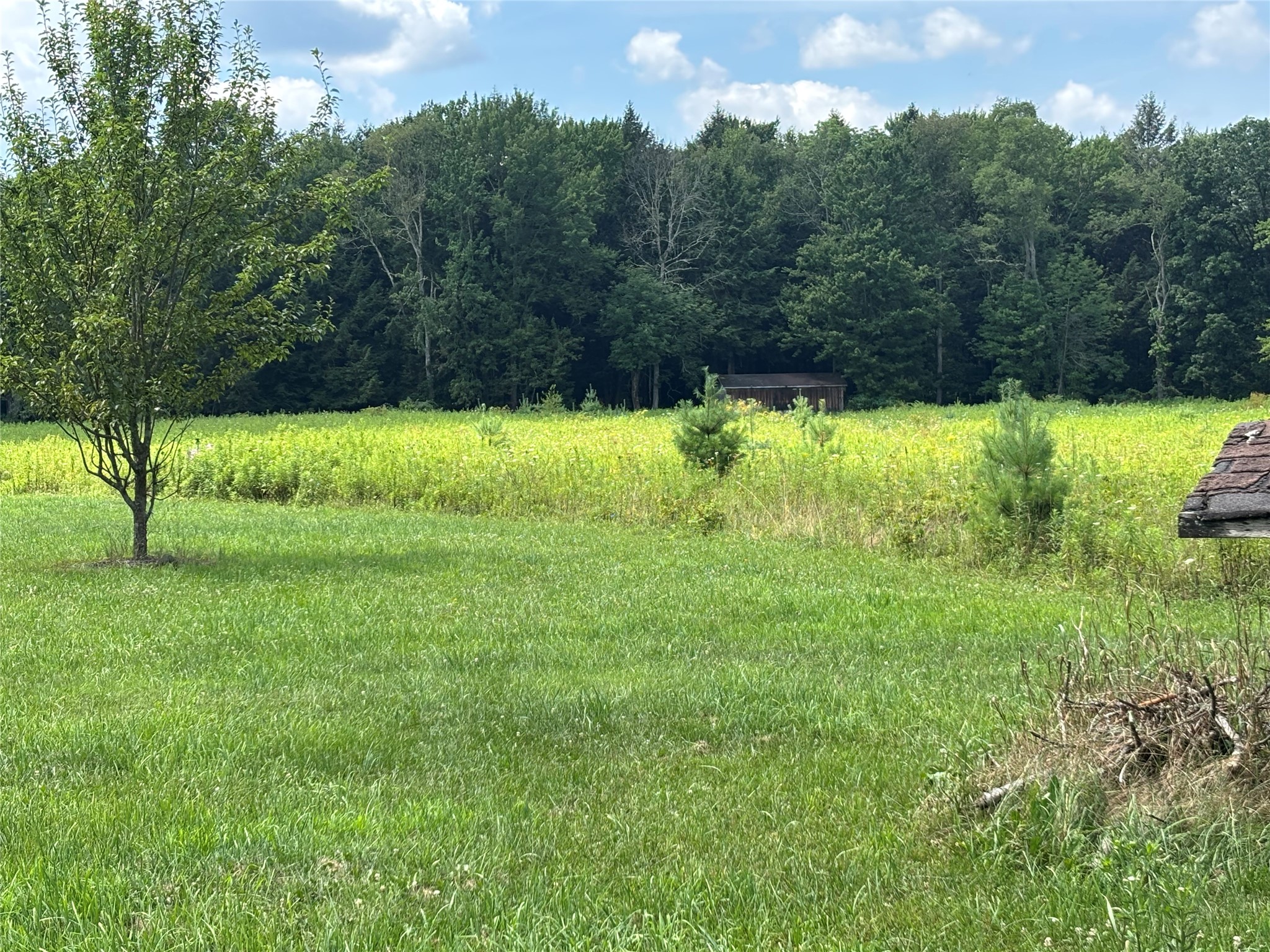 0 River Road Mount Upton, NY 13809 - Photo 2 of 40