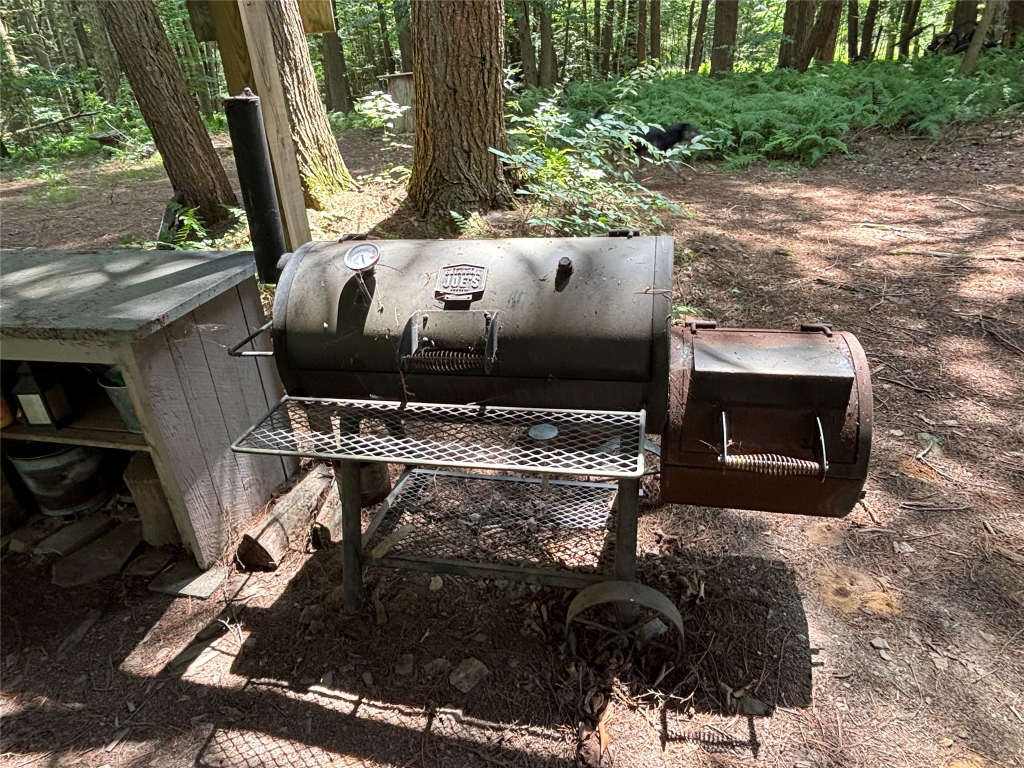 0 River Road Mount Upton, NY 13809 - Photo 28 of 40