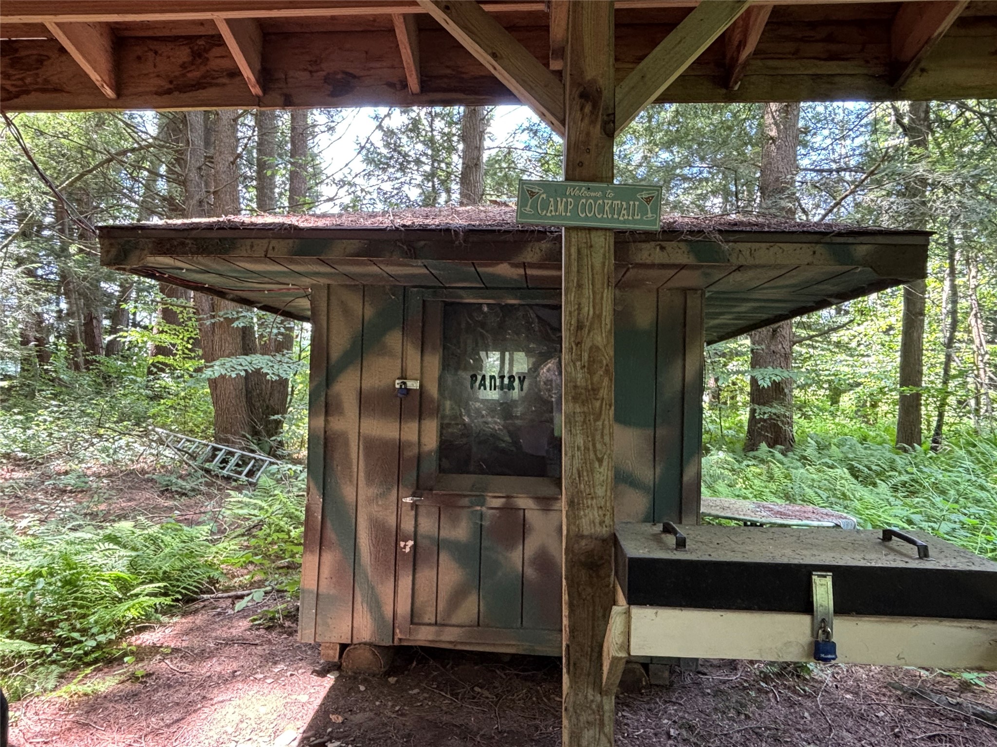 0 River Road Mount Upton, NY 13809 - Photo 30 of 40