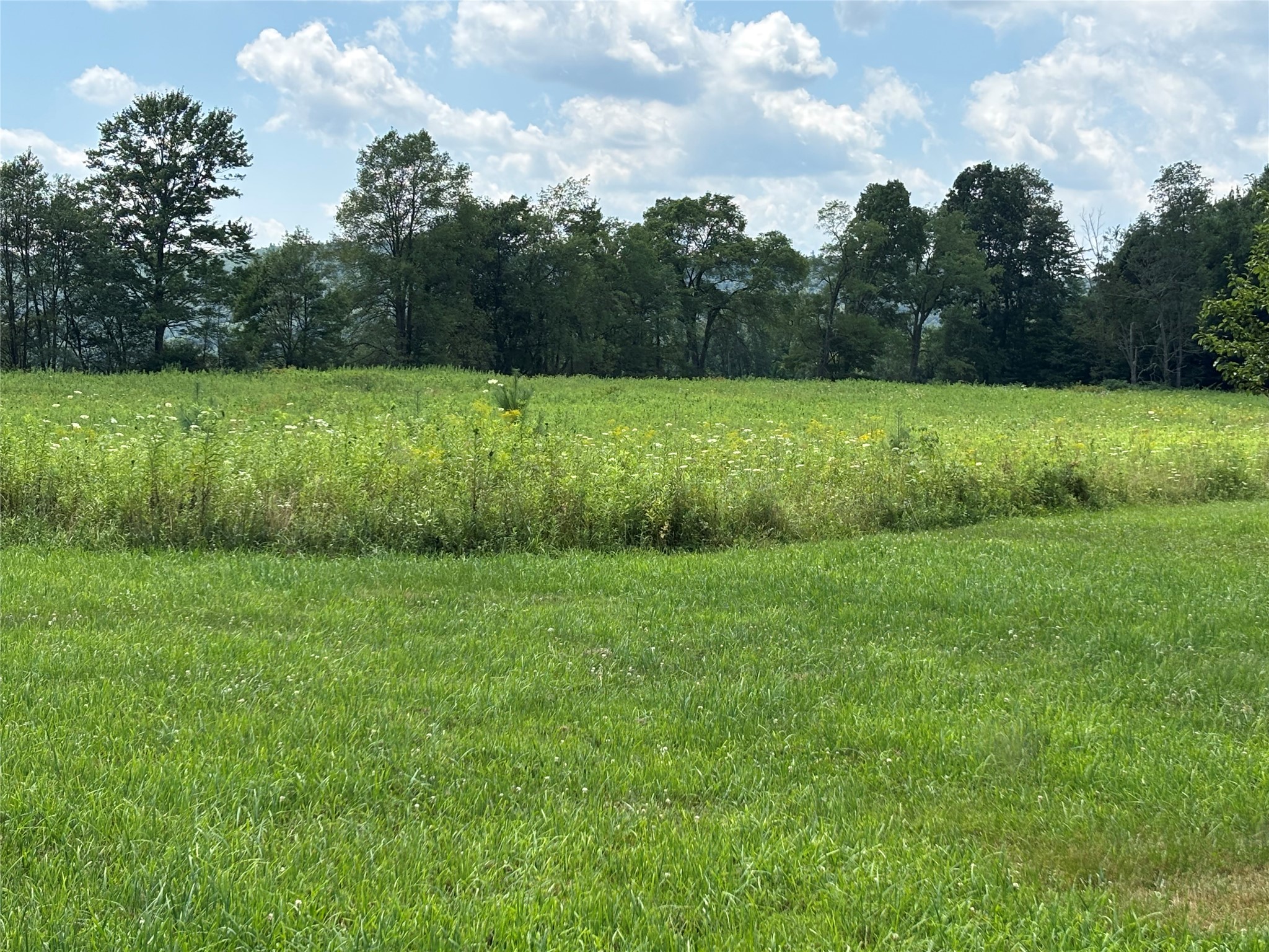 0 River Road Mount Upton, NY 13809 - Photo 3 of 40