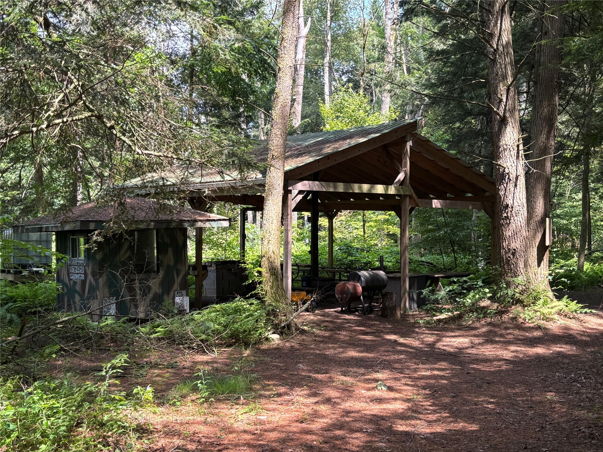 0 River Road Mount Upton, NY 13809 - Photo 31 of 40