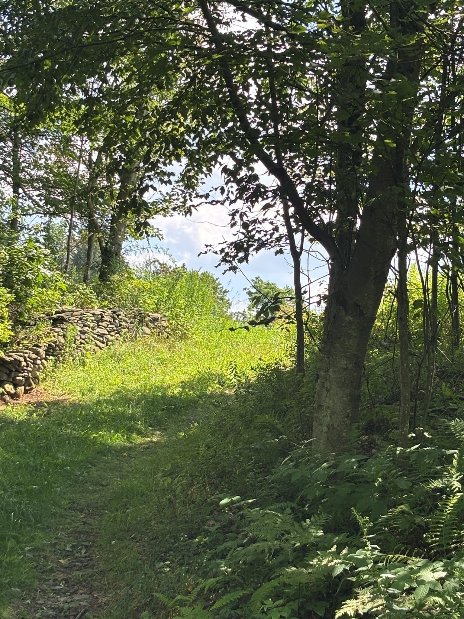 0 River Road Mount Upton, NY 13809 - Photo 32 of 40