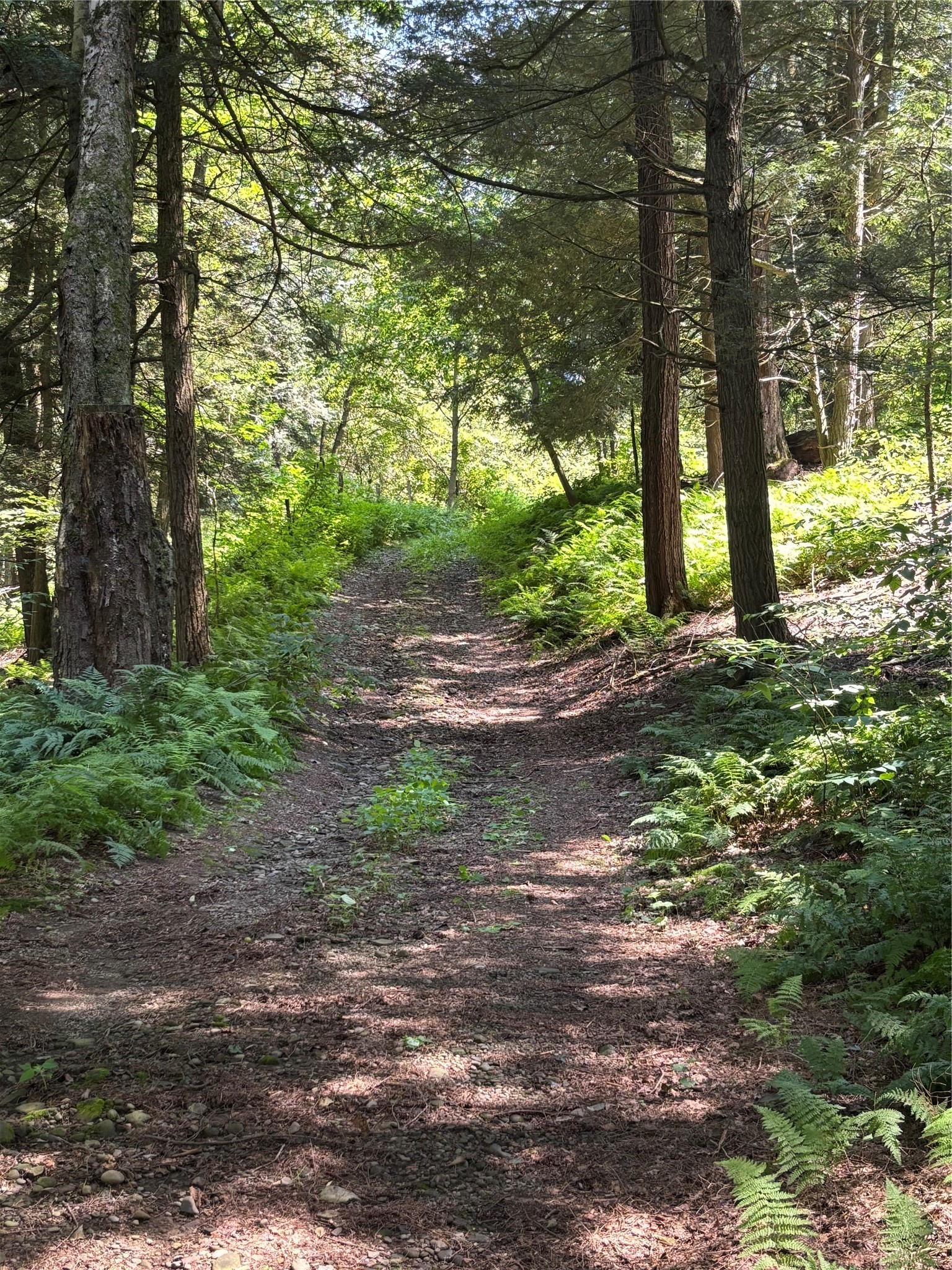 0 River Road Mount Upton, NY 13809 - Photo 33 of 40
