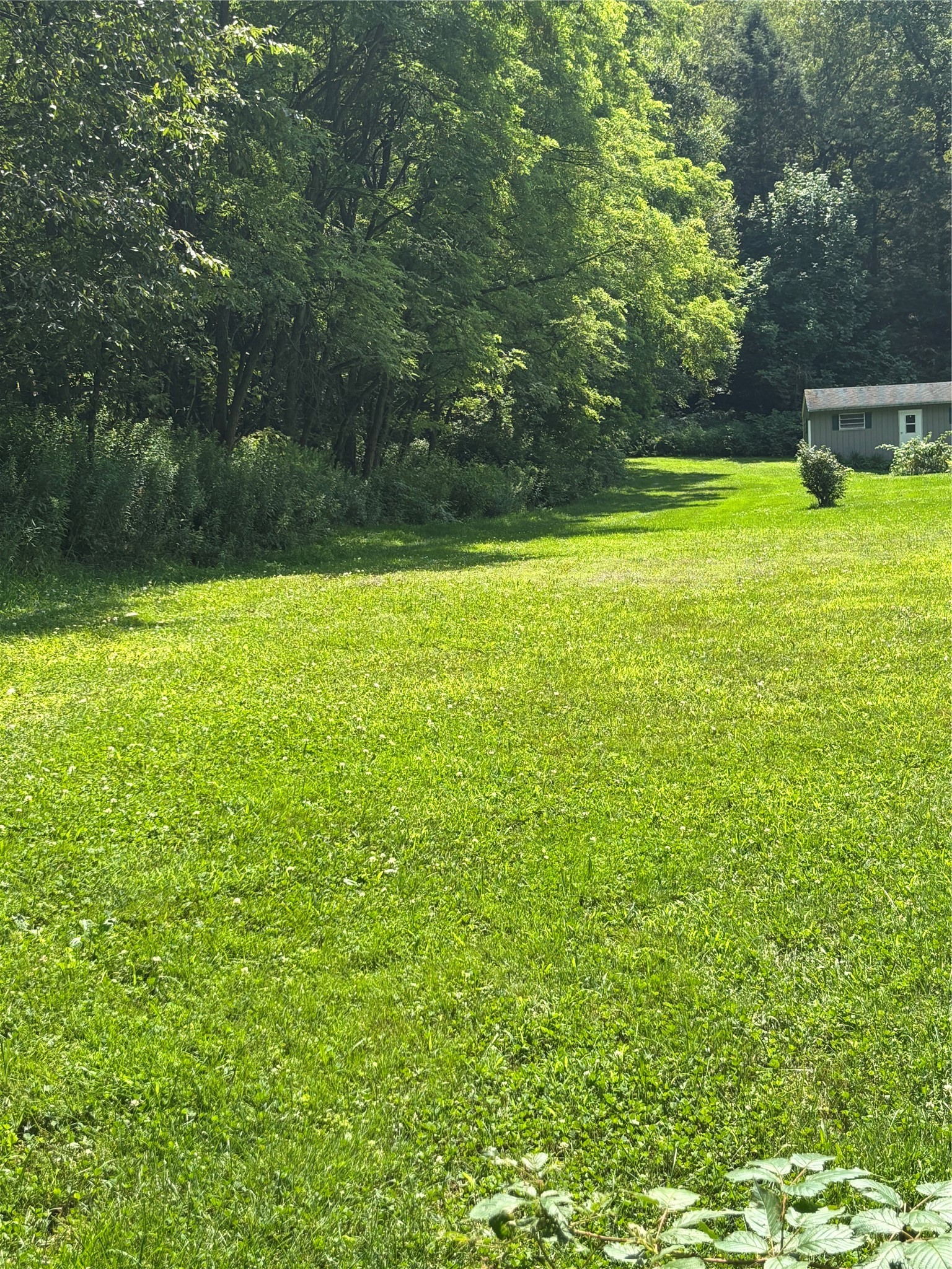 0 River Road Mount Upton, NY 13809 - Photo 34 of 40