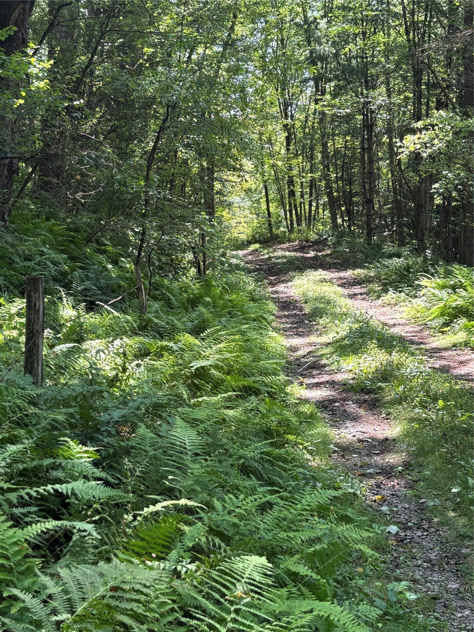 0 River Road Mount Upton, NY 13809 - Photo 35 of 40