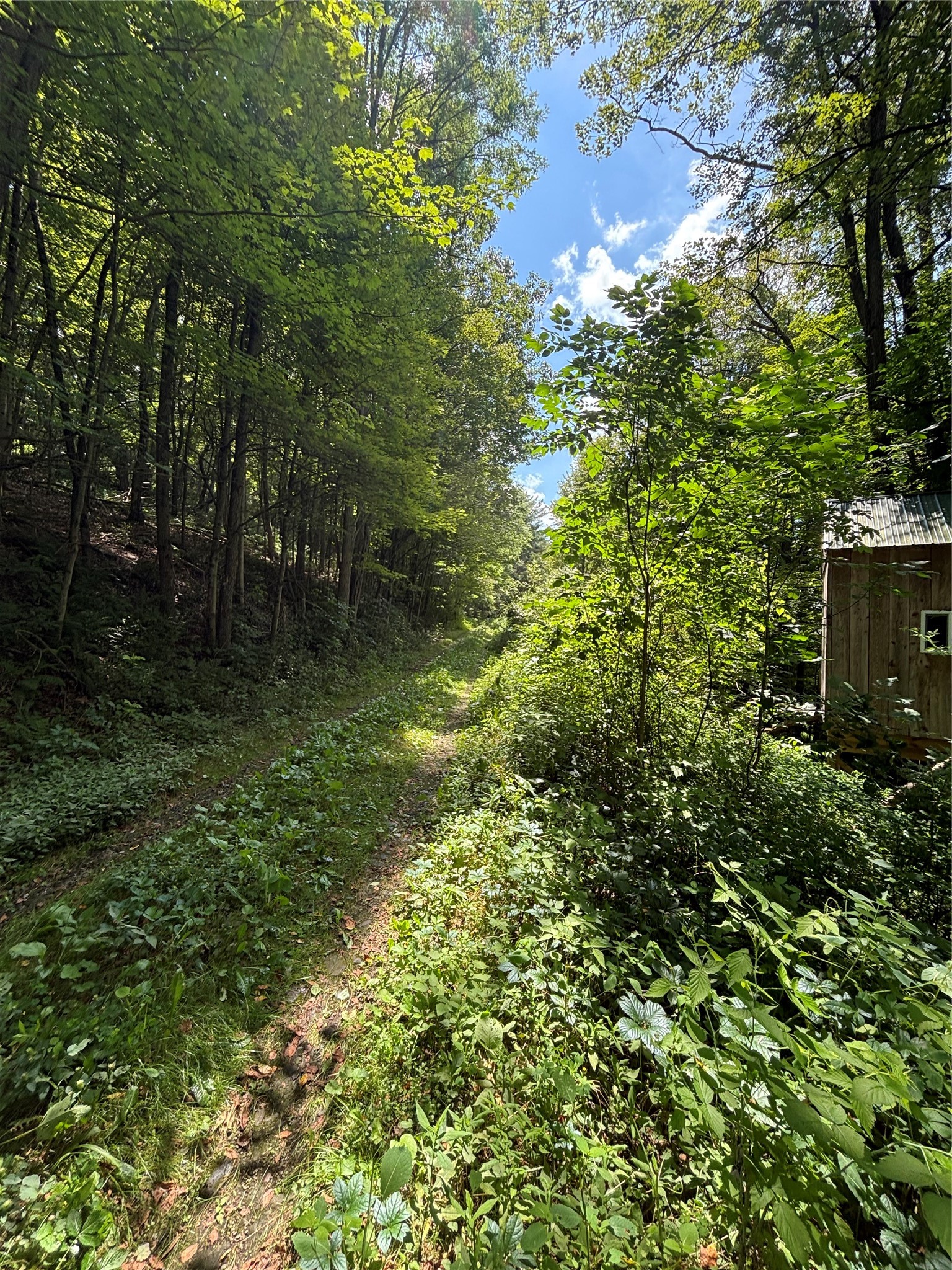 0 River Road Mount Upton, NY 13809 - Photo 37 of 40