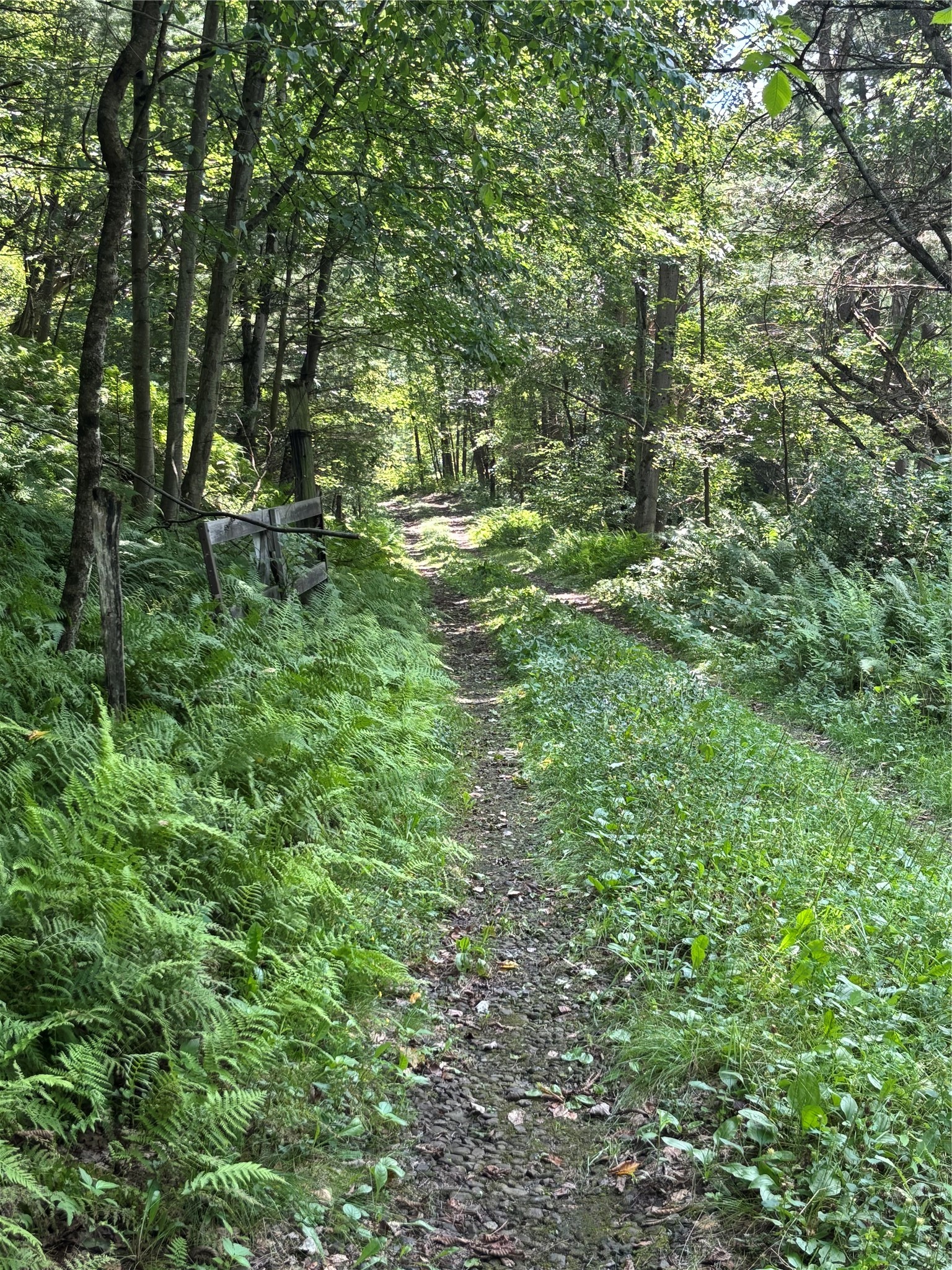 0 River Road Mount Upton, NY 13809 - Photo 38 of 40