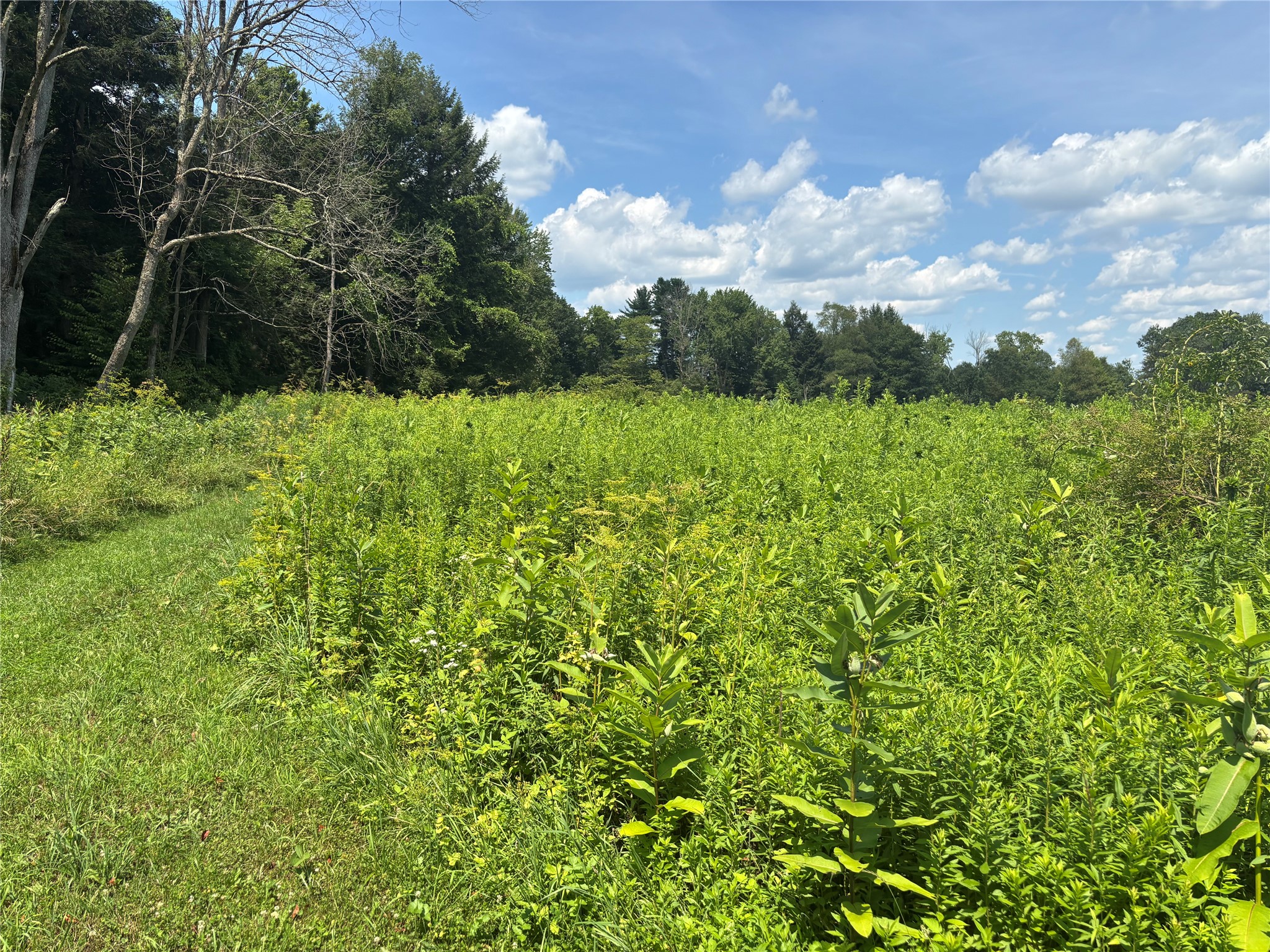 0 River Road Mount Upton, NY 13809 - Photo 40 of 40