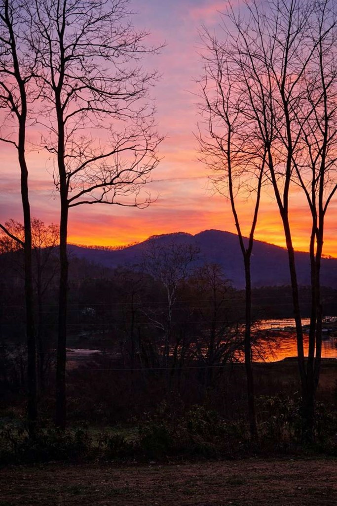 195 Hogsed Road Hiawassee, GA 30546 - Photo 3 of 25 a view of a backyard of a house with a mountain
