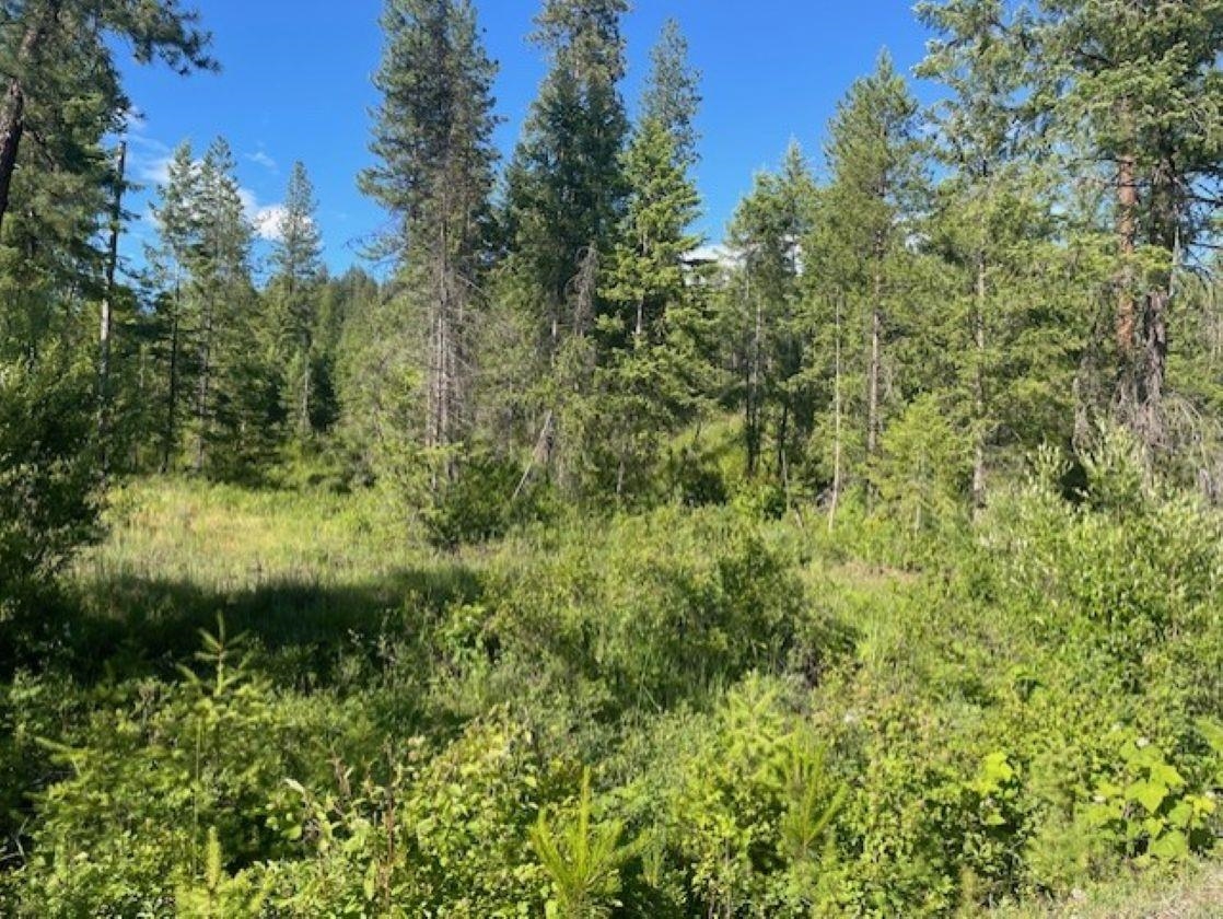 Nkn Bead Lake Road Oldtown, ID 83822 - Photo 10 of 27