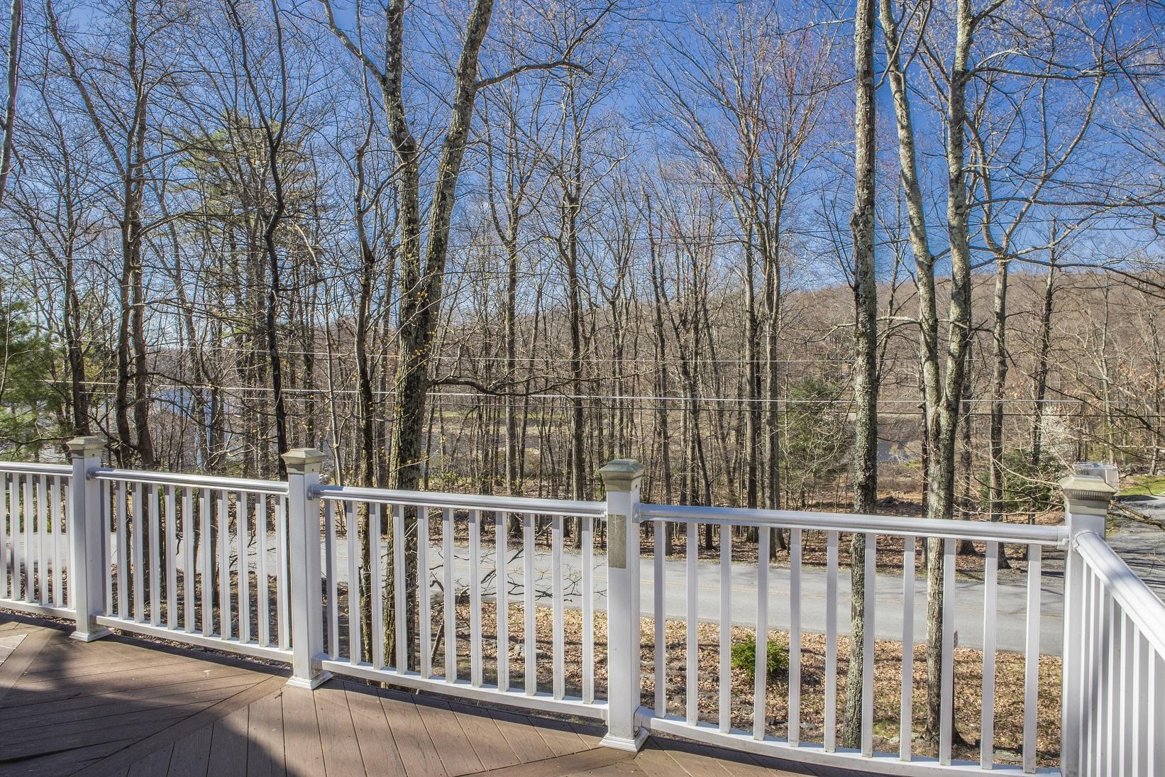 206 Alpine Lake Road Henryville, PA 18332 - Photo 25 of 41 lake view