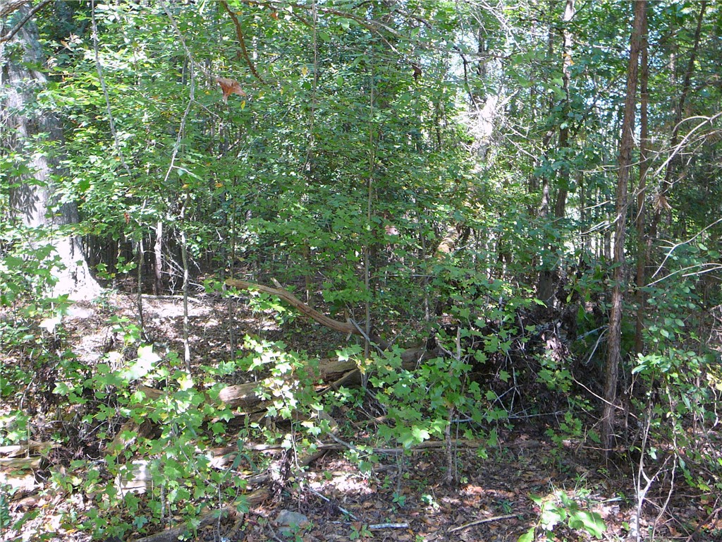 239 Samuel Camp Road Anderson, SC 29624 - Photo 14 of 15