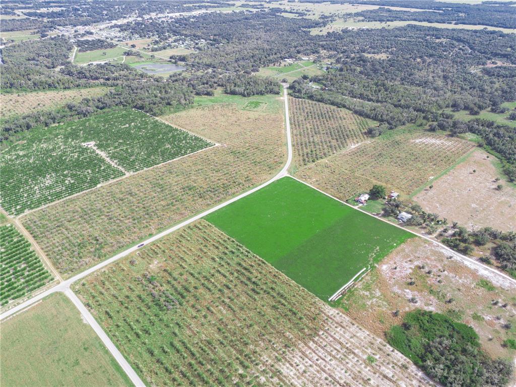 2485 South Florida Avenue Wauchula, FL 33873 - Photo 13 of 18 a view of a backyard