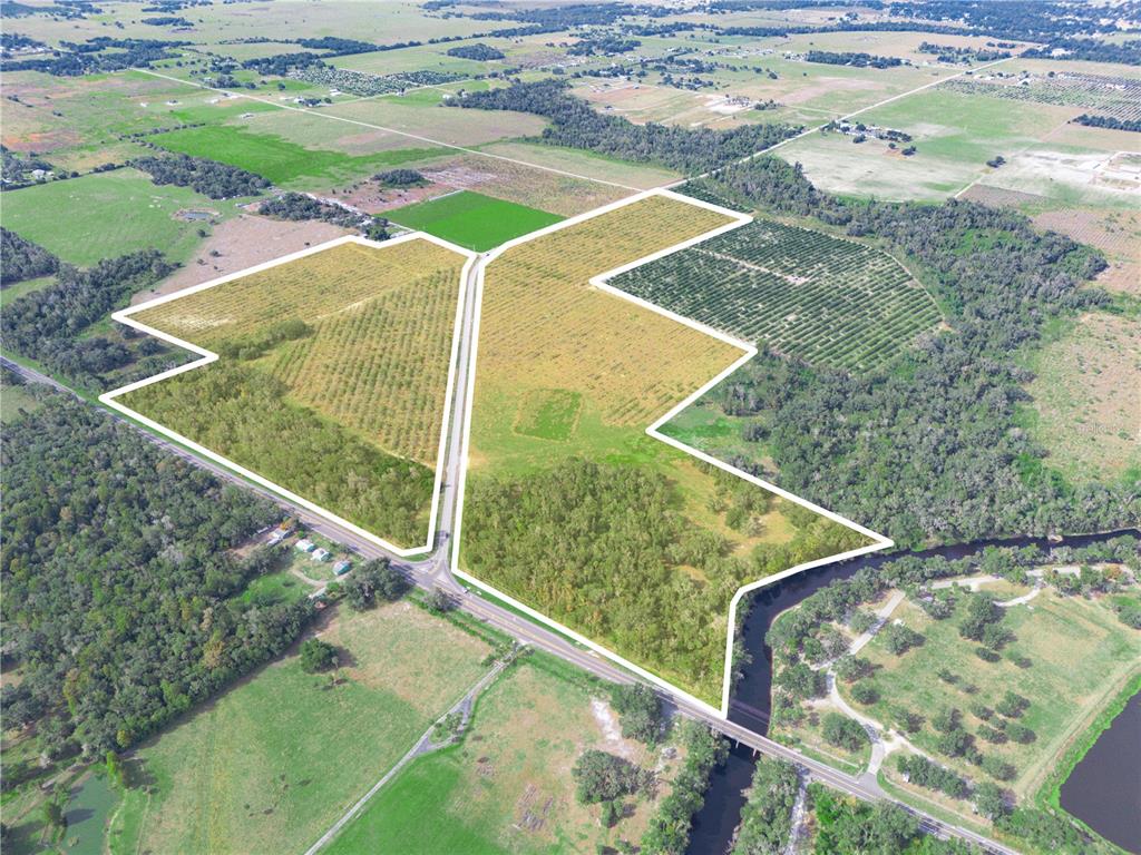 2485 South Florida Avenue Wauchula, FL 33873 - Photo 3 of 18