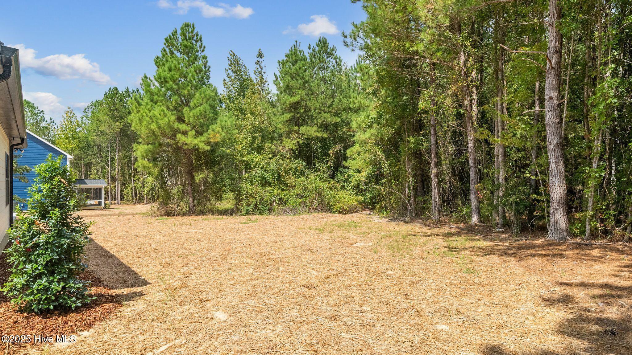 4425 Vass-Carthage Road Carthage, NC 28327 - Photo 46 of 50 46_DSC02342 copy