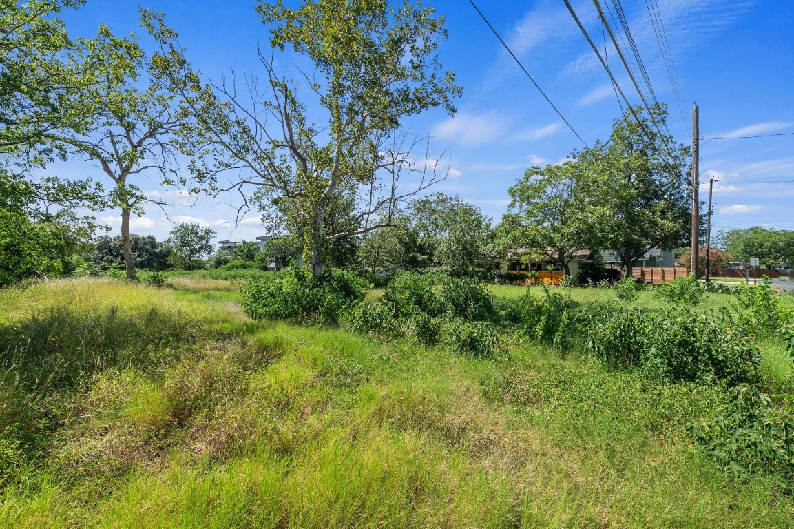 4517 South 3rd Street Austin, TX 78745 - Photo 2 of 12 a view of a garden with a lake