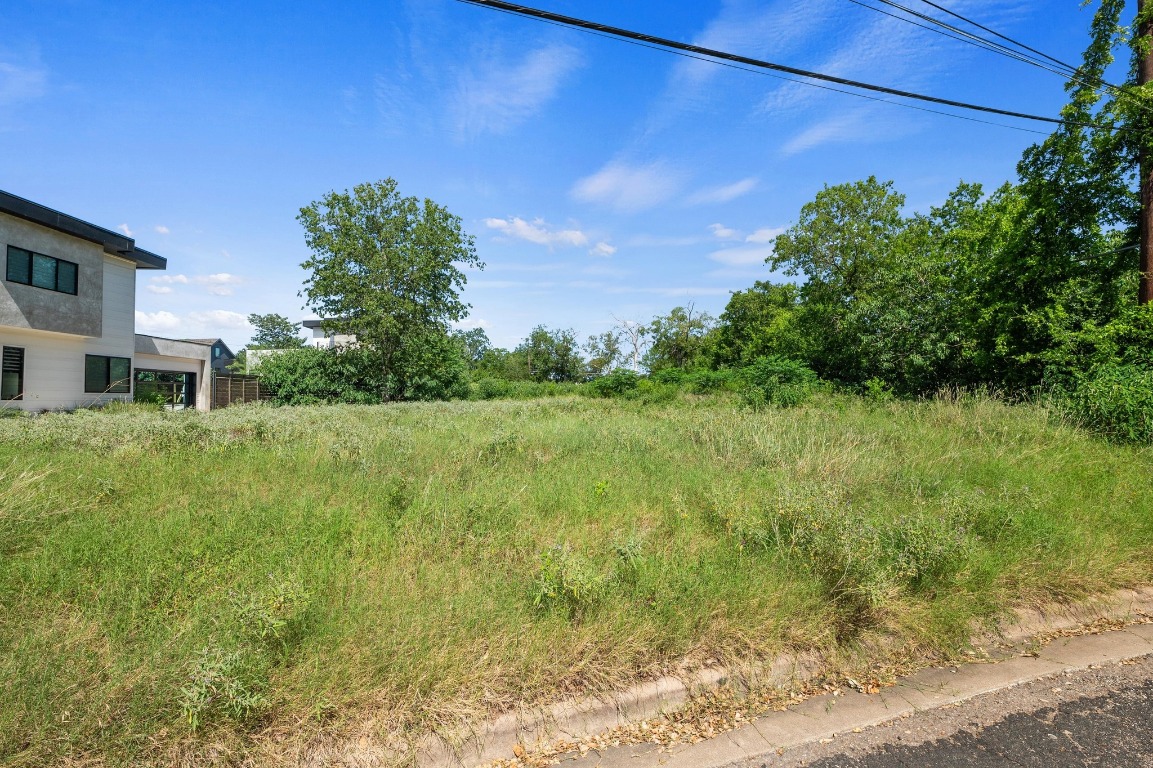 4517 South 3rd Street Austin, TX 78745 - Photo 6 of 12 a view of a garden