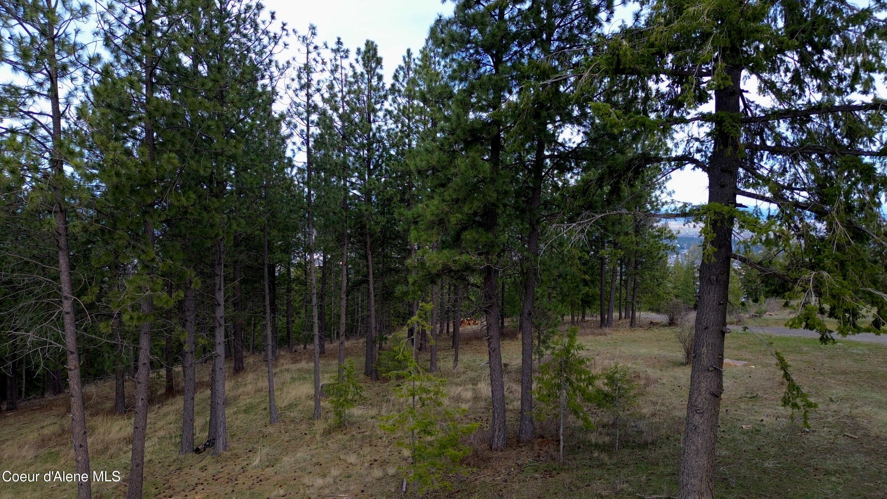 13476 West Margishward Road Post Falls, ID 83854 - Photo 48 of 60 48