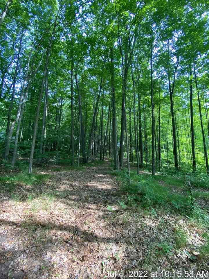 2264 Jefferson Road Harrison, MI 48625 - Photo 9 of 31