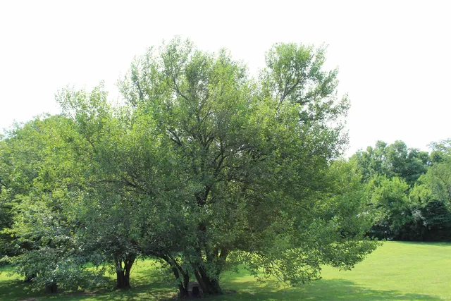 $388,900 | 475 East 280 North, Angola, IN 46703