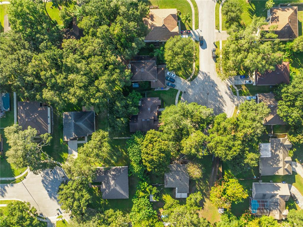 2139 Cunard Court Ocoee, FL 34761 - Photo 42 of 53