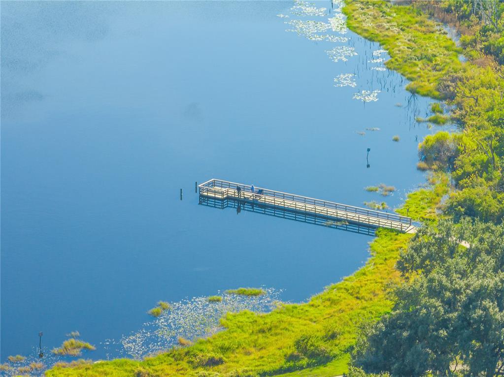 2139 Cunard Court Ocoee, FL 34761 - Photo 53 of 53