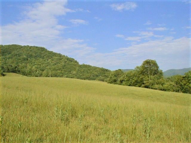 248 Somerset Farm Road Meadow Bridge, WV 25976 - Photo 70 of 98 Gallery Image 70