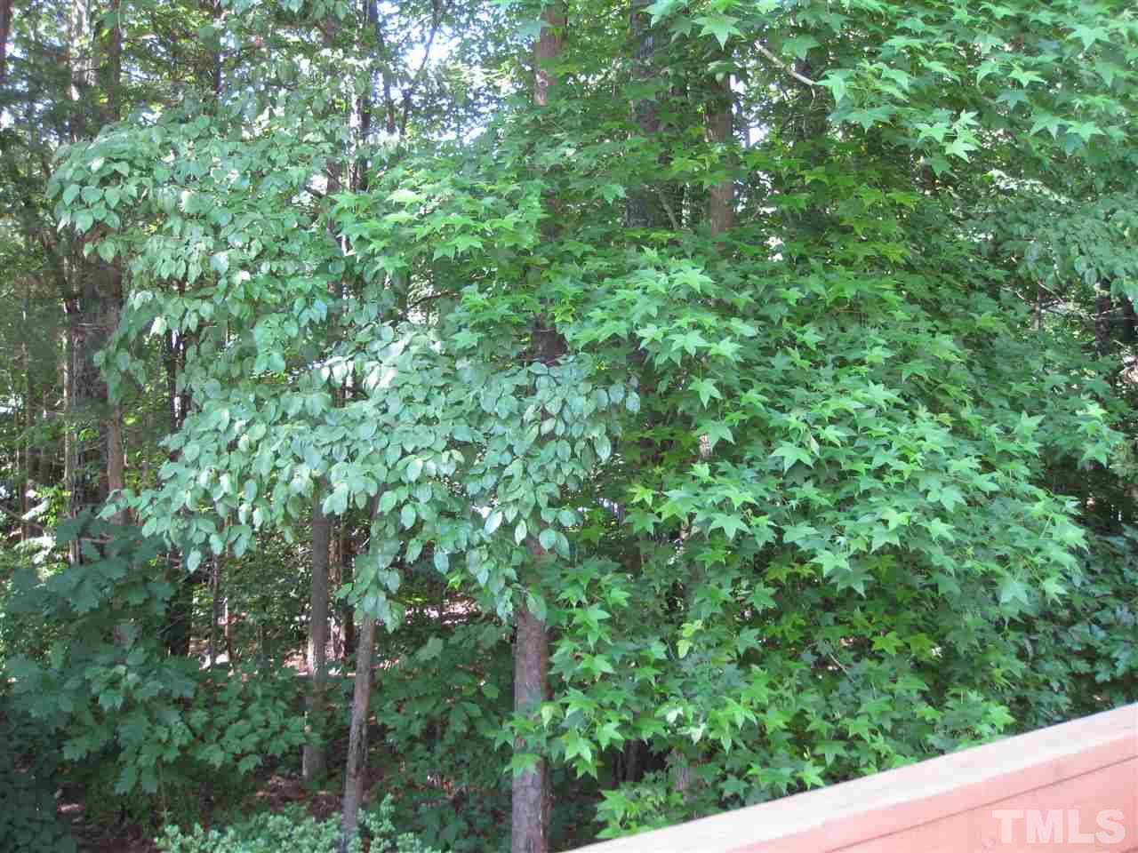 3313 Stone Castle Court Raleigh, NC 27613 - Photo 13 of 15 a view of a yard with plants