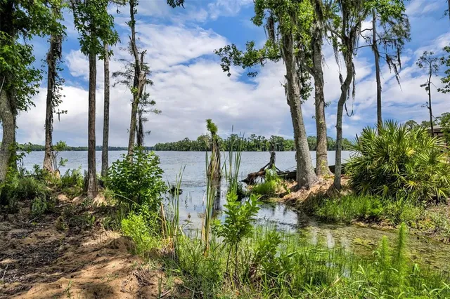 $1,275,000 | 17537 Sailfin Drive, Orlando, FL 32820