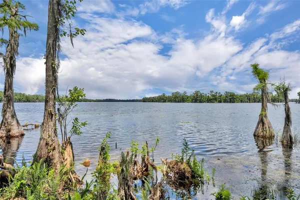 $1,275,000 | 17537 Sailfin Drive, Orlando, FL 32820