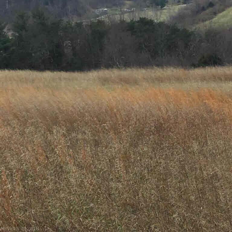 0 Daisy Road Blacksburg, VA 24060 - Photo 19 of 33 Gallery Image 19
