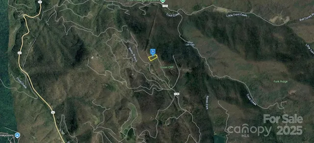 a view of a lush green forest