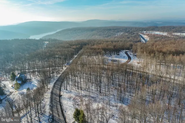 a view of park with a bench