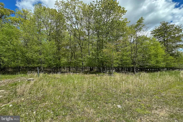 a view of a backyard of the house