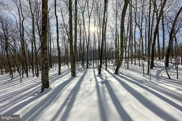 a view of a balcony with trees