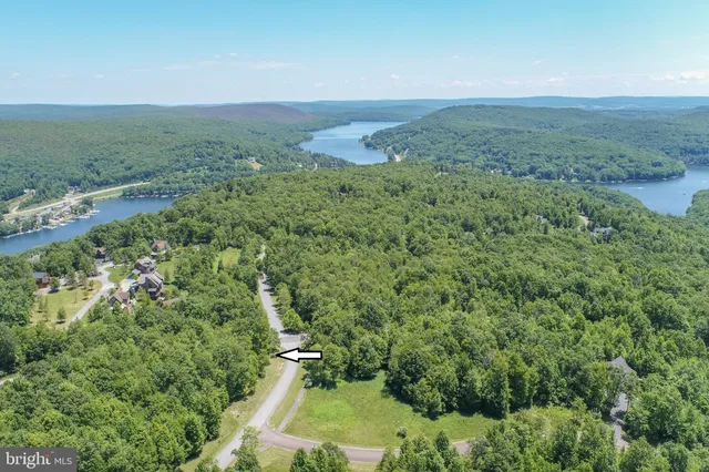an aerial view of green landscape with trees houses and mountain view