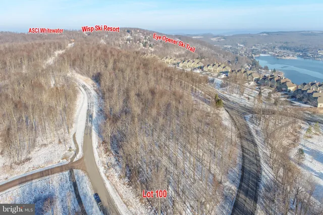 a view of outdoor space with lots of trees