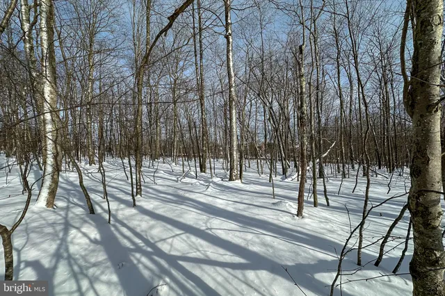 a view of a garden with an buildings and mountain view