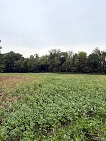 $1,360,000 | 80-ac Dream Hollow Road, Troy, MO 63379