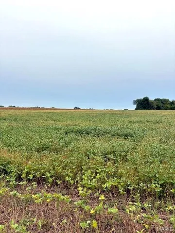 $1,360,000 | 80-ac Dream Hollow Road, Troy, MO 63379