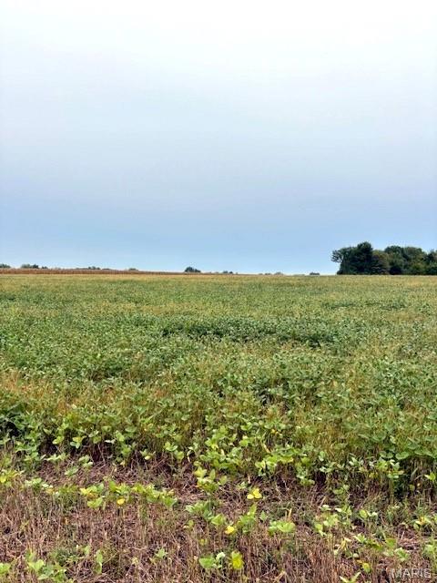 80-ac Dream Hollow Road Troy, MO 63379 - Photo 13 of 20